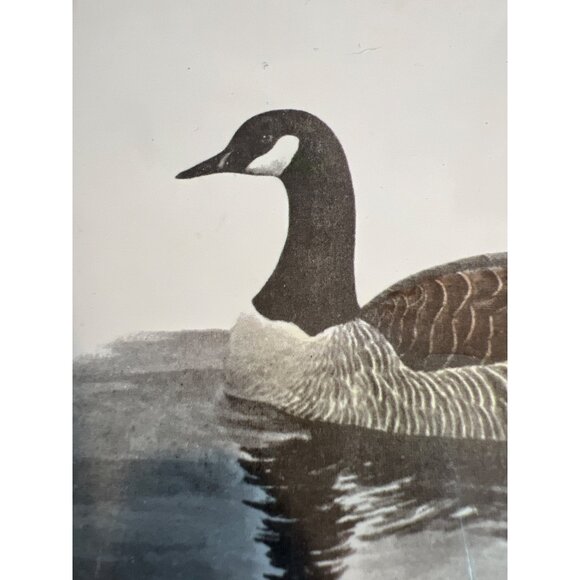 Vintage Delano Studios Tile Trivet Canadian Goose Cork Backed 6" x 6" Hangable - Picture 2 of 4